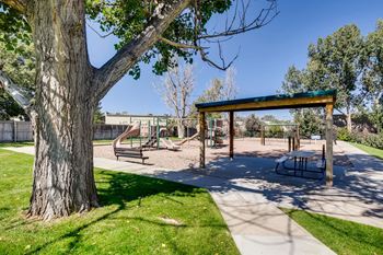 Play Area at The Meridian at Lakewood, Lakewood, Colorado